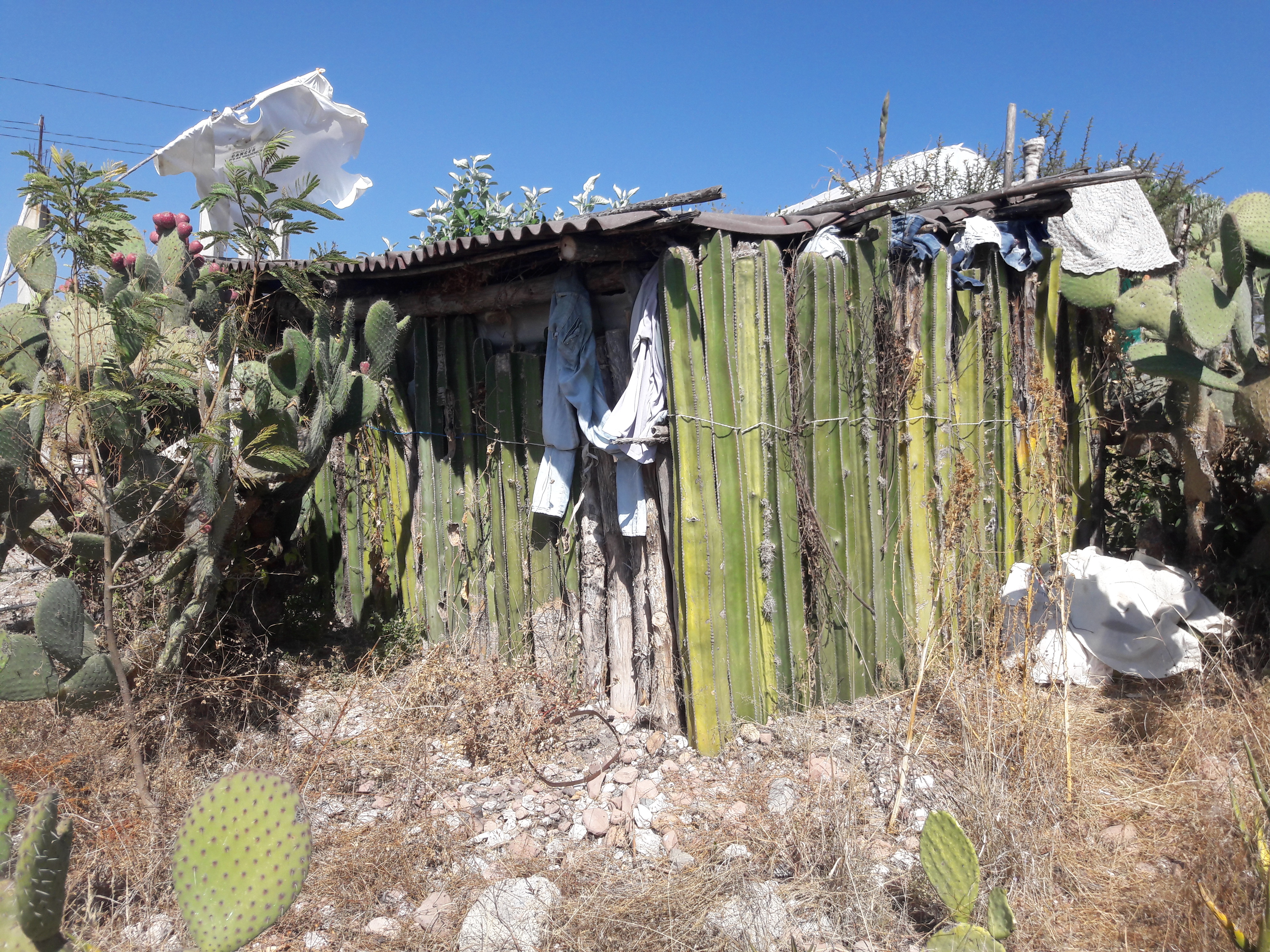 Vivienda Tradicional 1